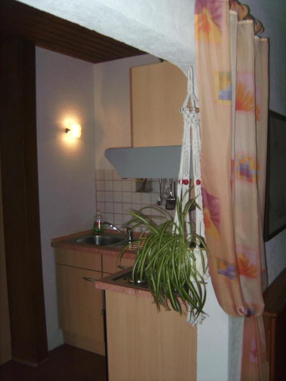 Ferienwohnung Evangeline Borsch Zell an der Mosel Luaran gambar